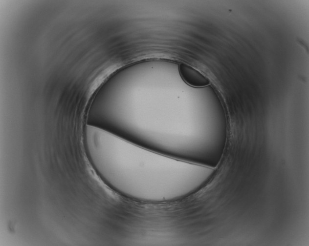 X0000103500898200809121010