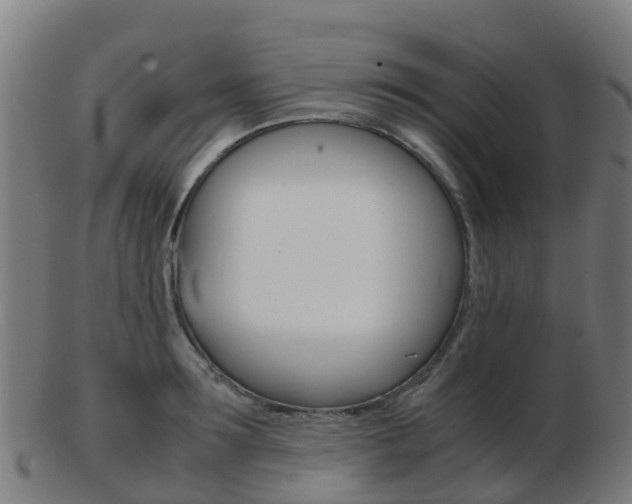 X0000103500899200809121009