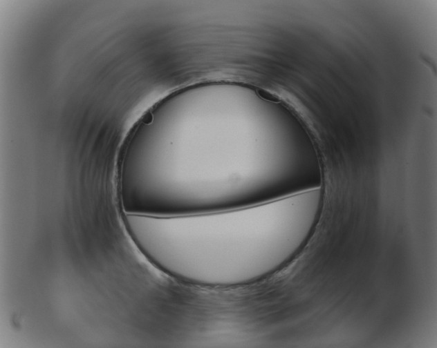 X0000103500902200809121009