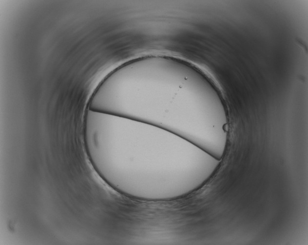 X0000103500903200809121009
