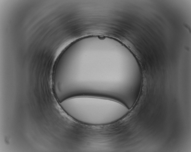 X0000103500904200809121009