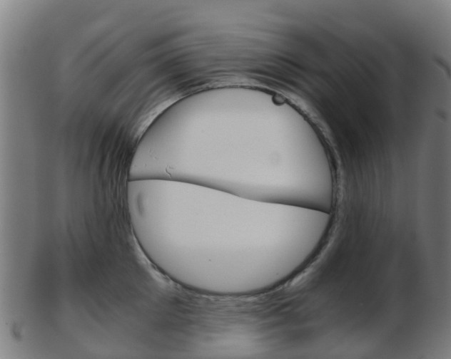 X0000103500905200809121009