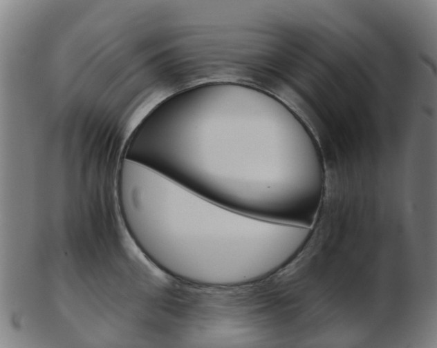 X0000103500906200809121009