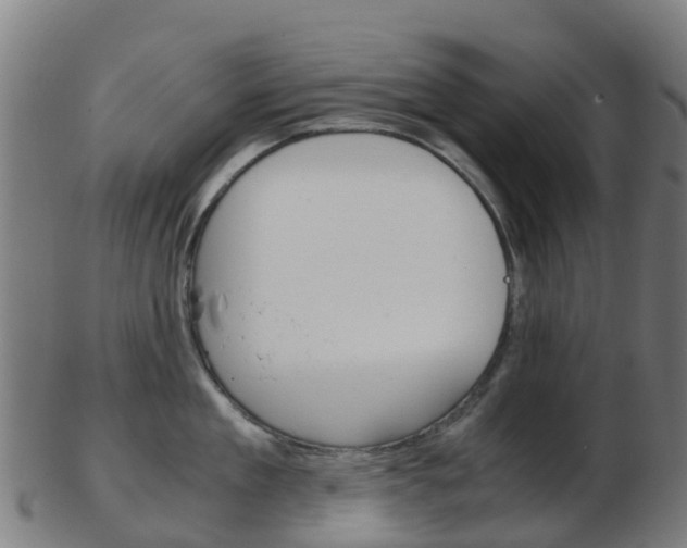 X0000103500909200809121009