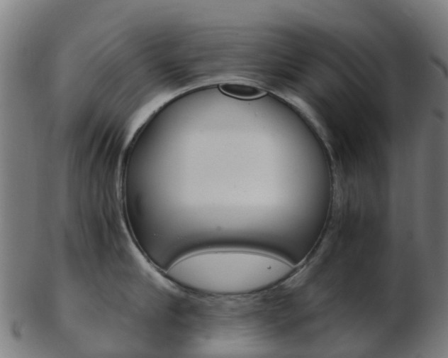 X0000103500910200809121009