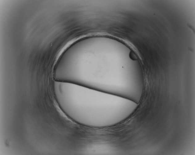 X0000103500911200809121009