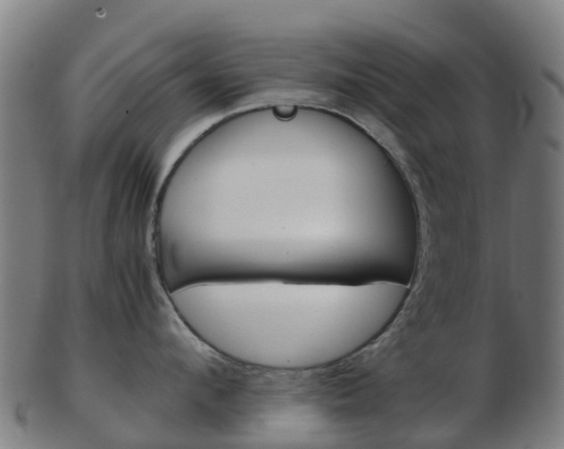 X0000103500912200809121009