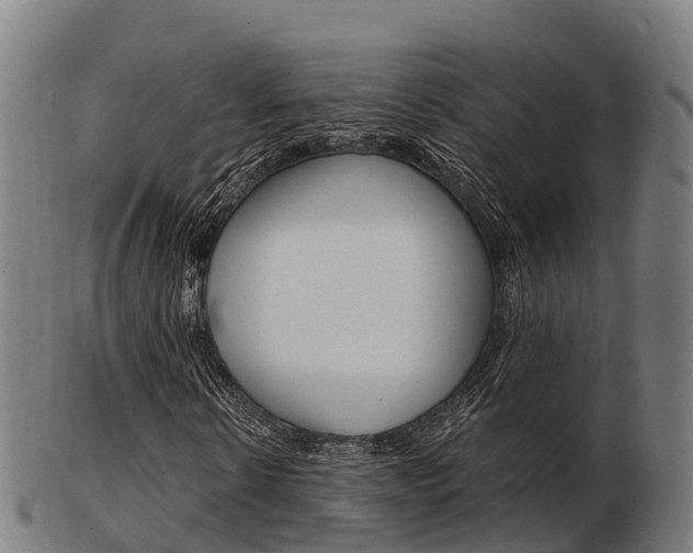 X0000103500914200809121009