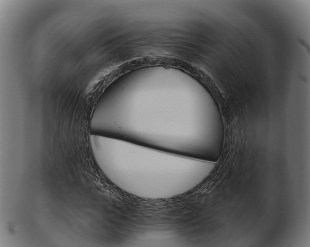 X0000103500919200809121009