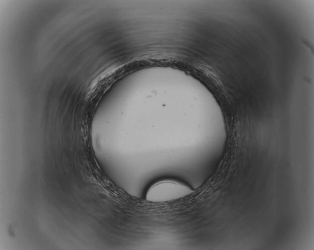 X0000103500920200809121009