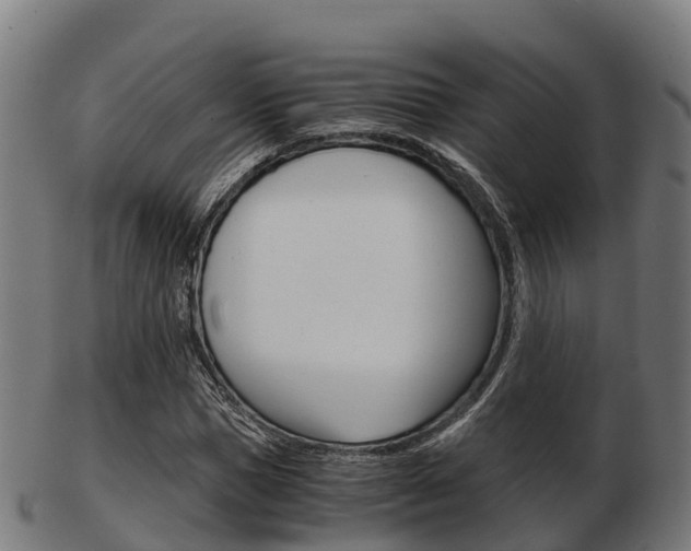X0000103500921200809121009