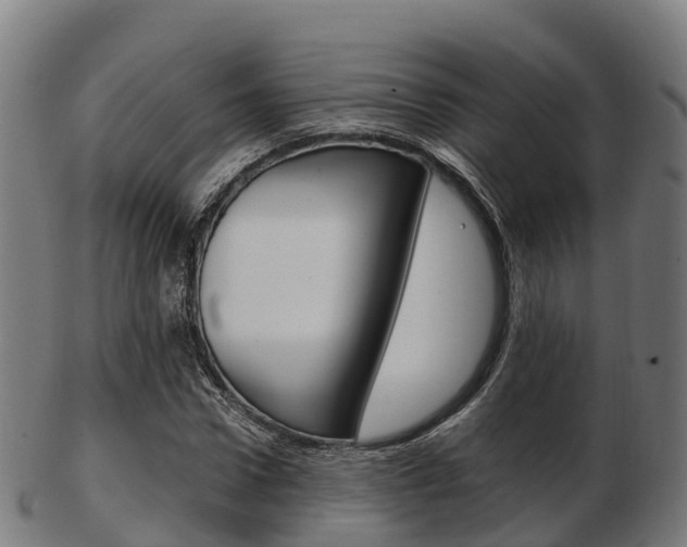 X0000103500922200809121009