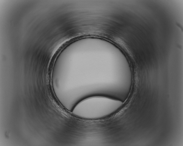 X0000103500924200809121009