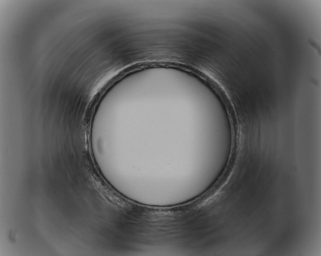 X0000103500925200809121009