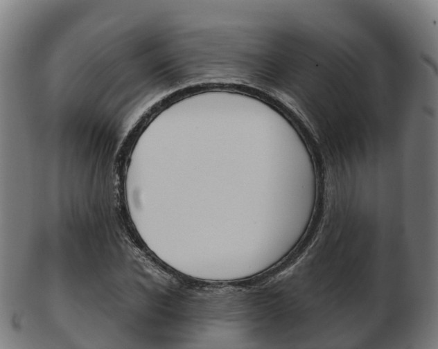 X0000103500926200809121009