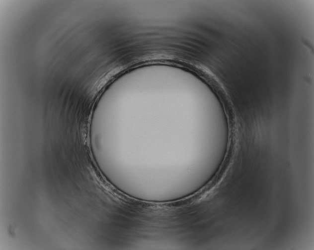 X0000103500929200809121009