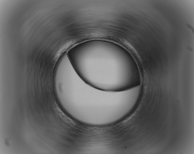 X0000103500930200809121009