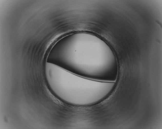 X0000103500934200809121009