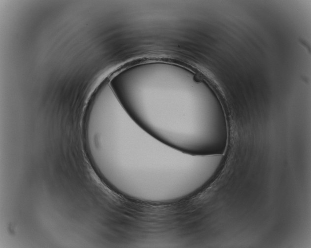 X0000103500935200809121009