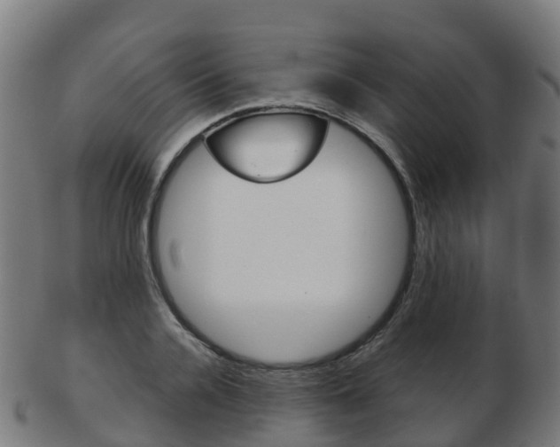 X0000103500936200809121009