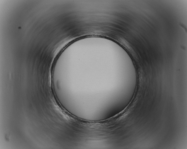X0000103500940200809121009