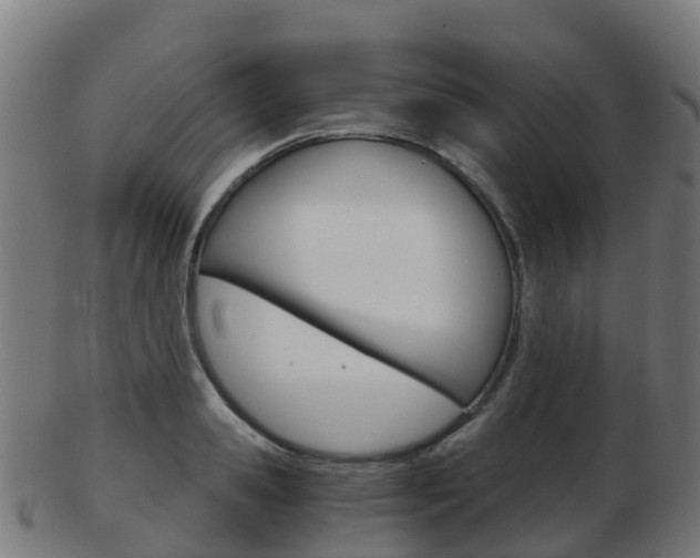 X0000103500941200809121009
