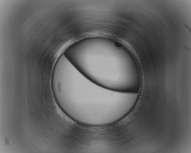 X0000103500946200809121009