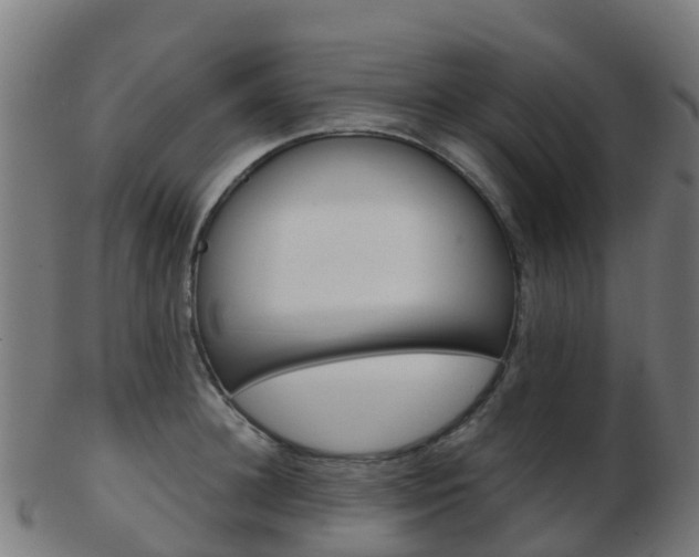 X0000103500948200809121009