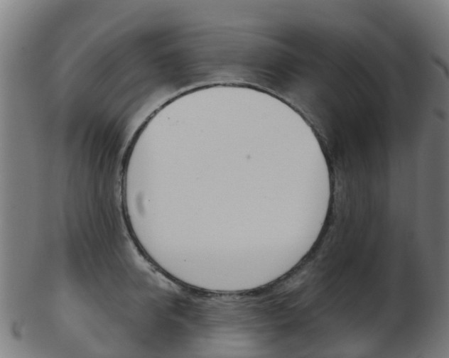 X0000103500950200809121009