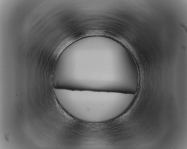 X0000103500953200809121009