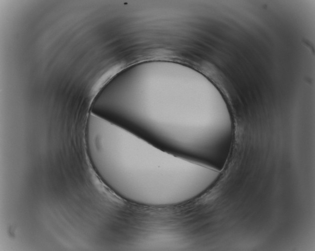 X0000103500954200809121009