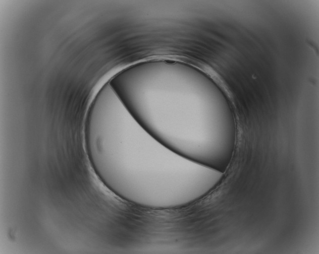 X0000103500955200809121009