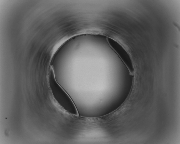 X0000103500960200809121009