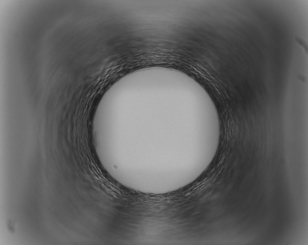 X0000103500961200809121009