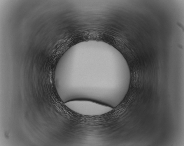 X0000103500962200809121009