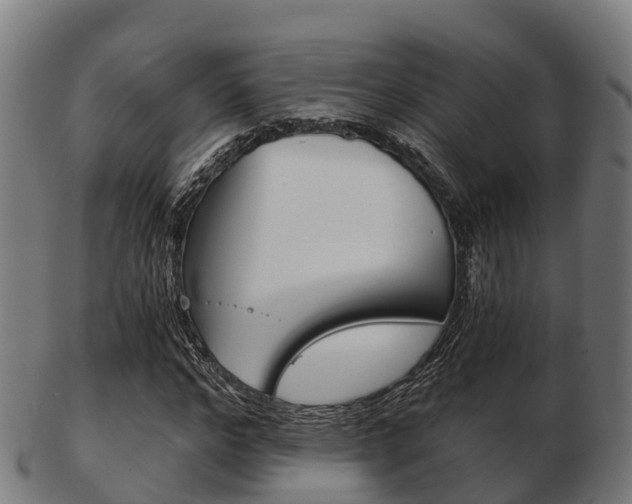 X0000103500968200809121009