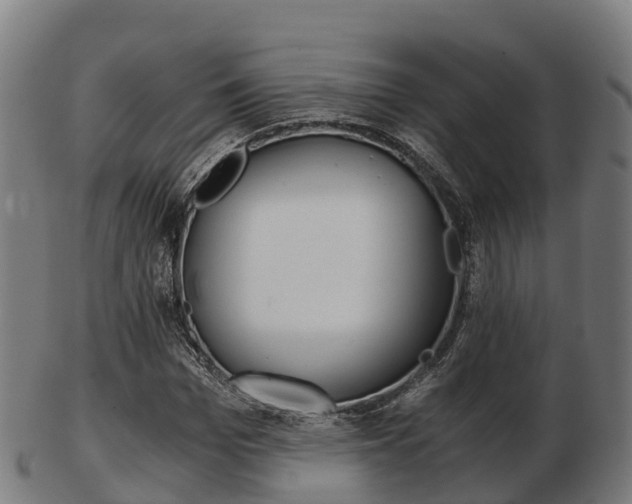 X0000103500969200809121009