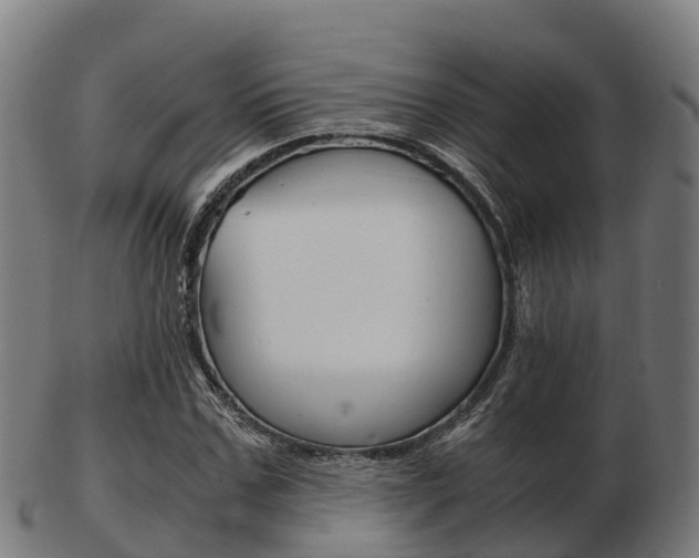 X0000103500971200809121009