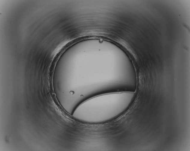 X0000103500972200809121008