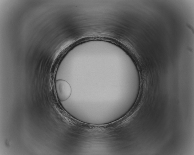 X0000103500974200809121008