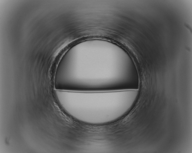 X0000103500975200809121008