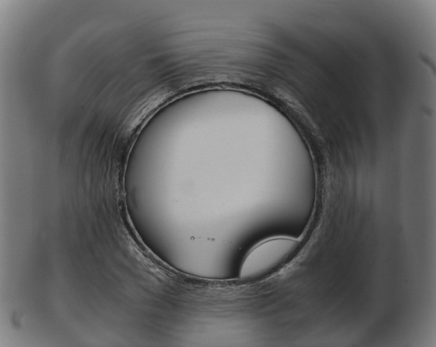 X0000103500977200809121008