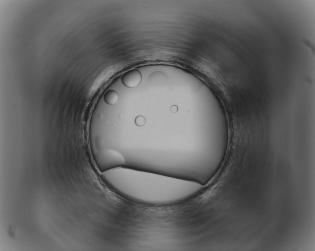 X0000103500978200809121008