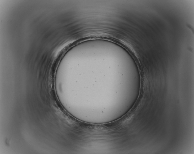 X0000103500979200809121008