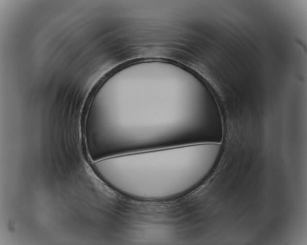 X0000103500980200809121008