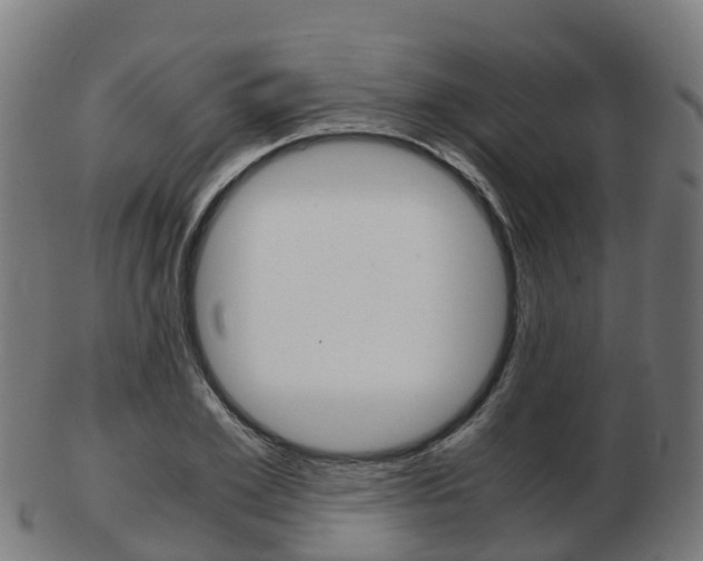 X0000103500981200809121008