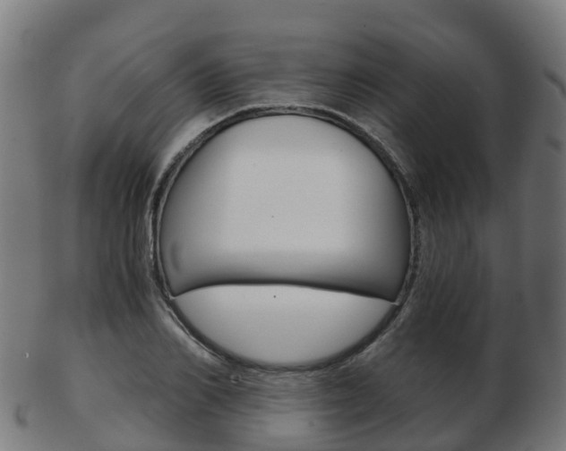 X0000103500982200809121008