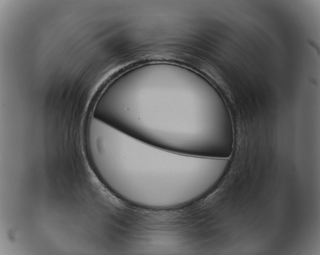 X0000103500984200809121008