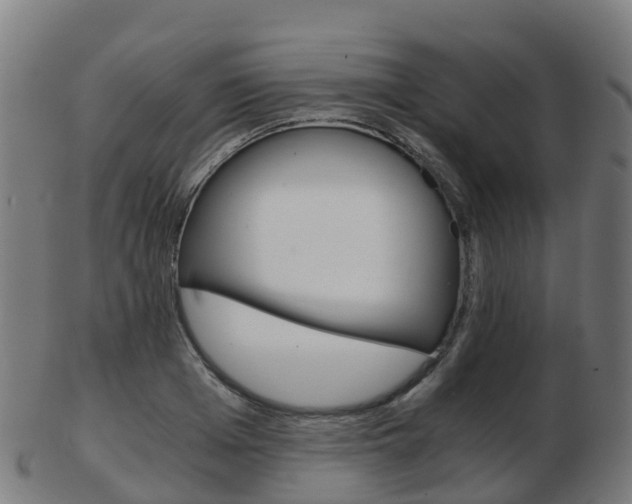 X0000103500985200809121008