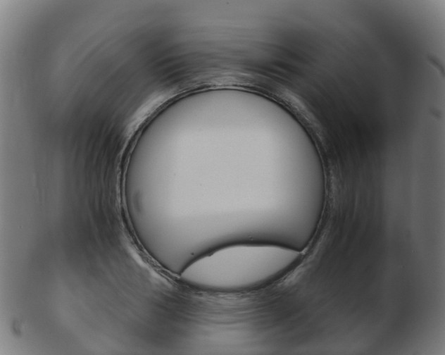 X0000103500986200809121008